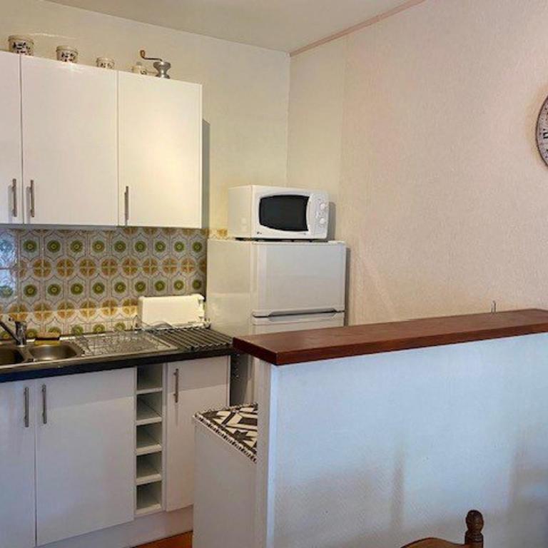 F2 Climatisé avec Garage, Animaux Bienvenus, Amélie-les-Bains - Apartamento de 1 dormitorio - 4