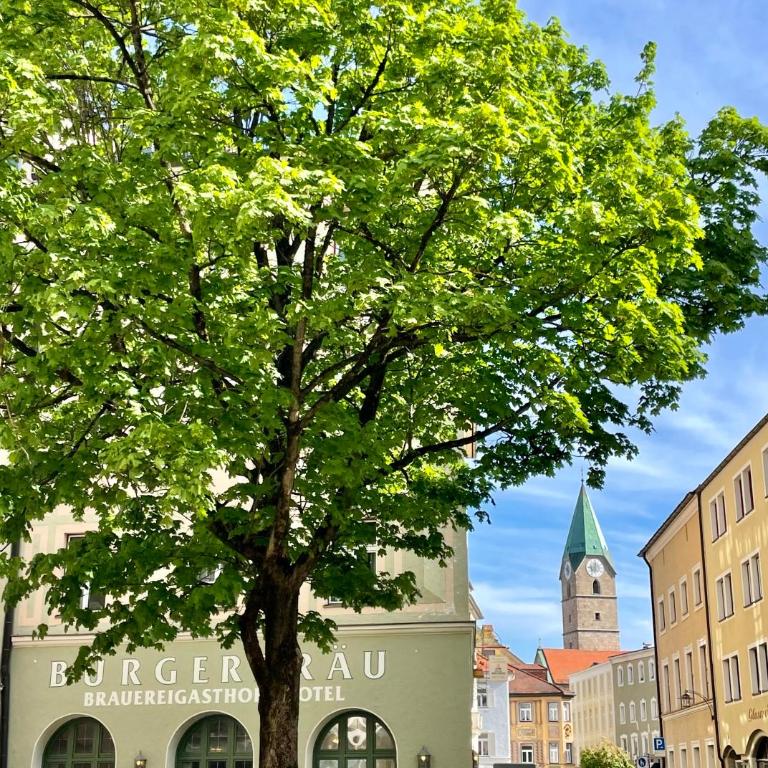 StayNature 2BR App. Altstadt - Apartment mit 2 Schlafzimmern - 31