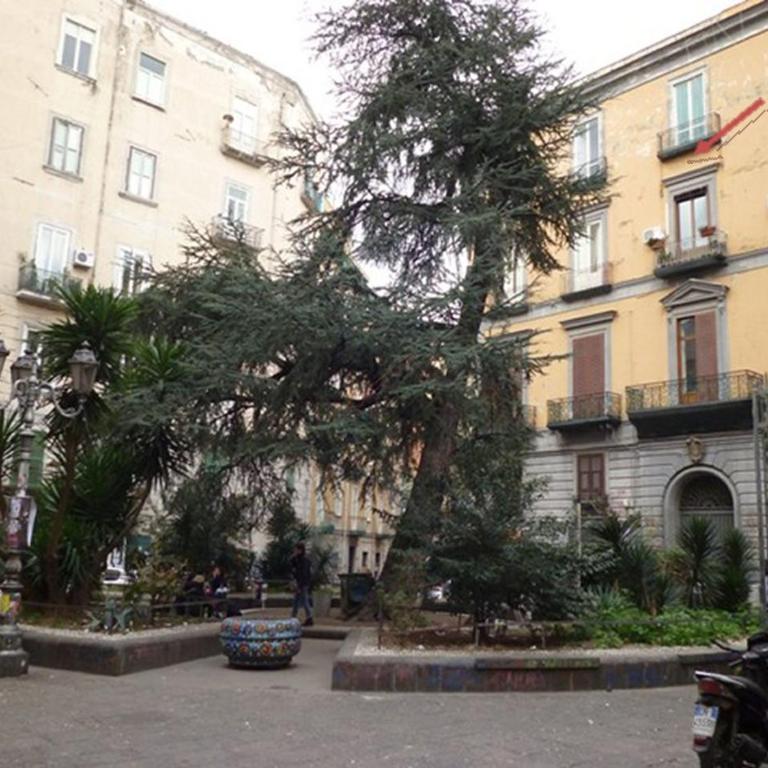 Apartment 25 - Appartamento su 2 Livelli con 2 Camere da Letto - 27