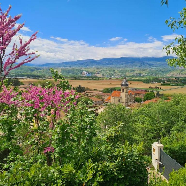 Gîte de 70m² avec vue sur le massif du Pilat - Appartement 1 Chambre - 22