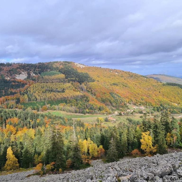 Gîte de 70m² avec vue sur le massif du Pilat - Appartement 1 Chambre - 28