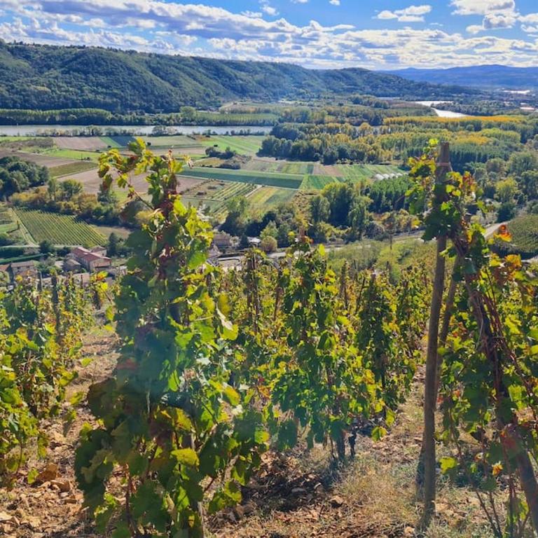 Gîte de 70m² avec vue sur le massif du Pilat - Appartement 1 Chambre - 25