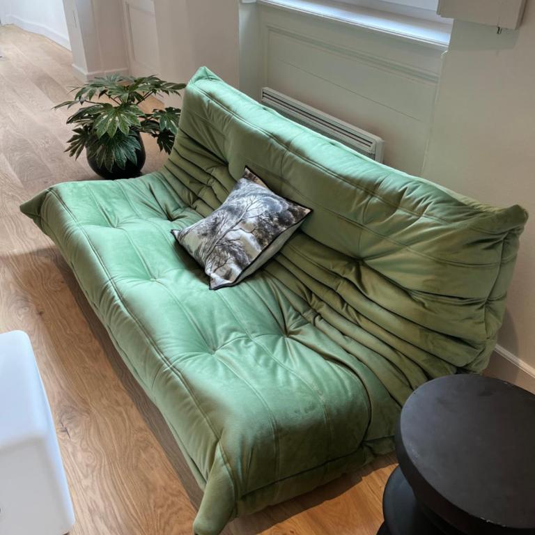 Le petit toulousain chic - Apartment mit 1 Schlafzimmer - 7