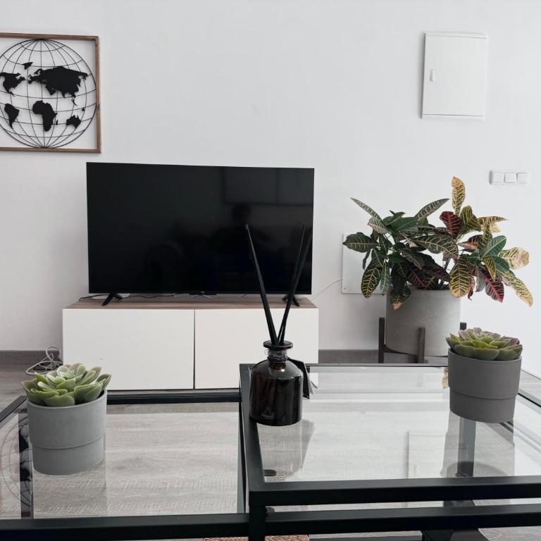 Elephant Loft - Apartamento de 1 dormitorio - 10