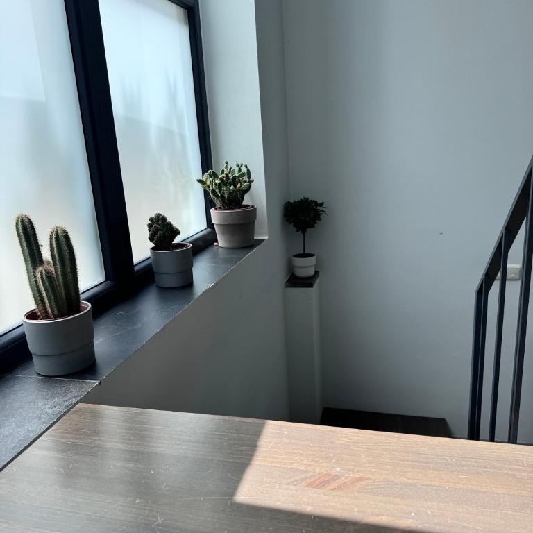 Elephant Loft - Apartamento de 1 dormitorio - 11