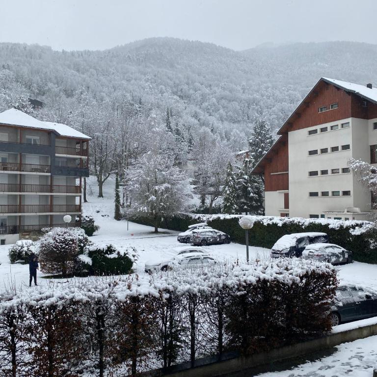Appartement T2+coin nuit 6 pers résidence de Cami Real au centre du village de saint Lary Soulan avec piscine intérieure+ sauna et hammam - Apartment mit 2 Schlafzimmern - 4