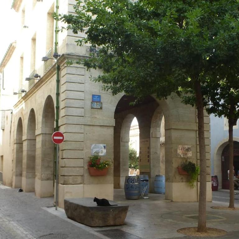 Domaine des Lions - Maison de vacances charmante pour 10p avec grand jardin privé - Maison de Vacances 4 Chambres - 64