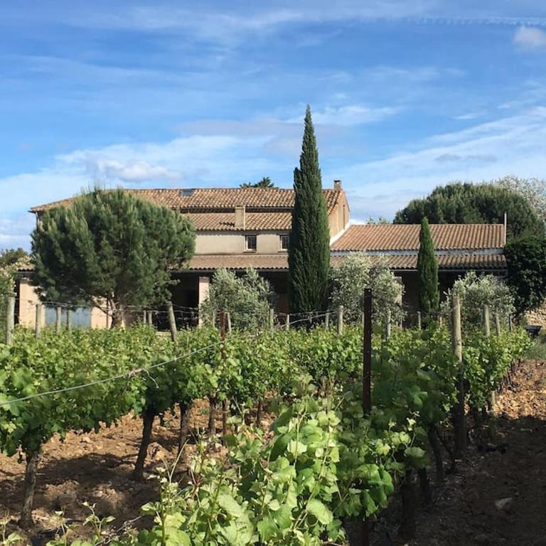 Domaine des Lions - Maison de vacances charmante pour 10p avec grand jardin privé - Maison de Vacances 4 Chambres - 52