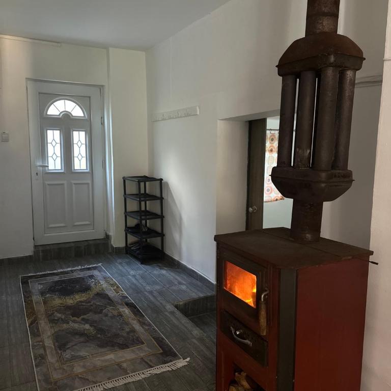 Privatni smeštaj Zlatko - Two-Bedroom Apartment - 8