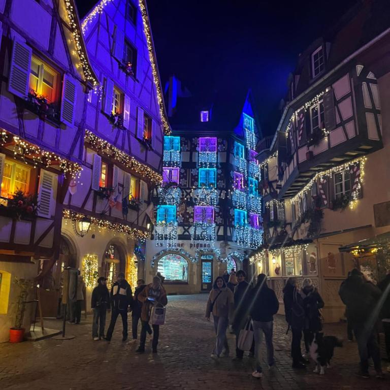 Le XVII - Au cœur de Colmar - Apartment mit 1 Schlafzimmer - 18