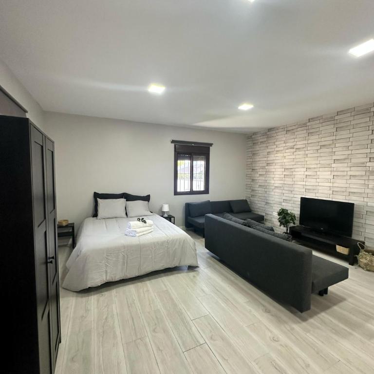 Alojamiento Carlota - Apartamento de 1 dormitorio - 18