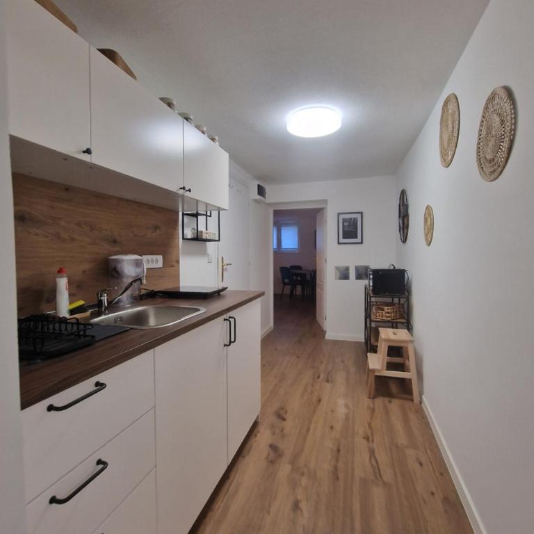 Apartman Pobednik - Apartman sa 1 Spavaćom Sobom - 8
