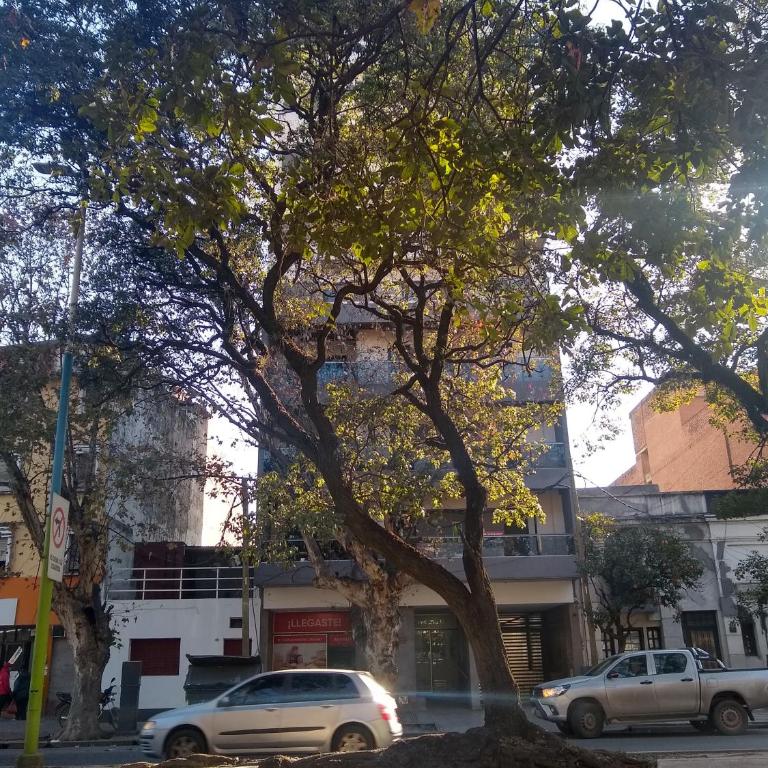 Rincón del Norte - One-Bedroom Apartment - 9