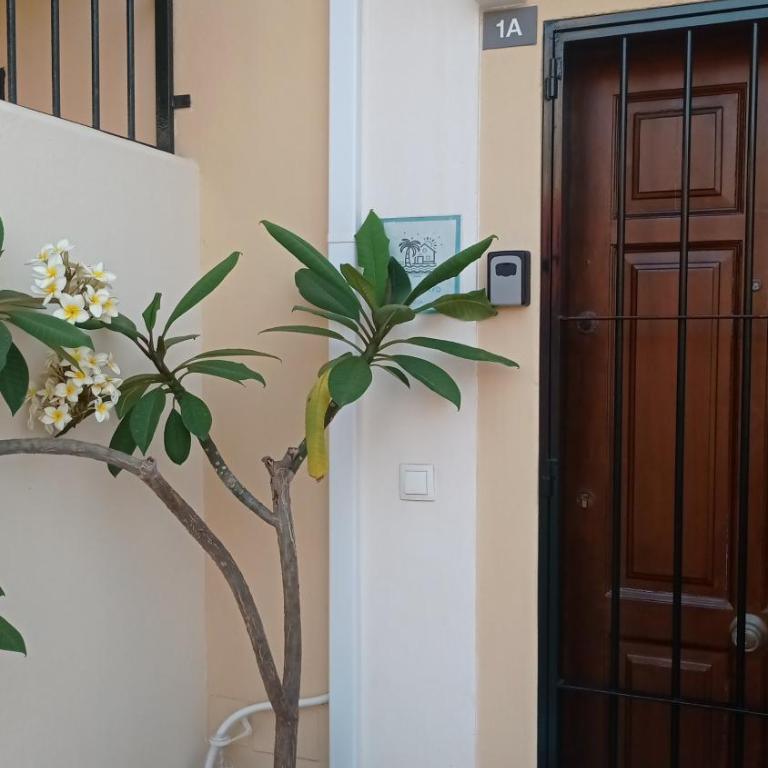 AyD - Apartamento de 2 dormitorios con terraza - 4