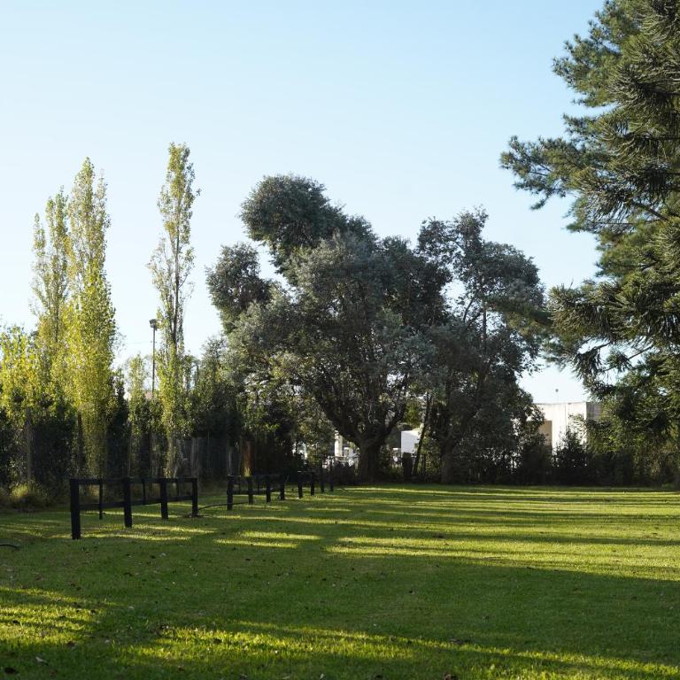 Araucarias Cabañas y Departamentos - Two-Bedroom Apartment - 21