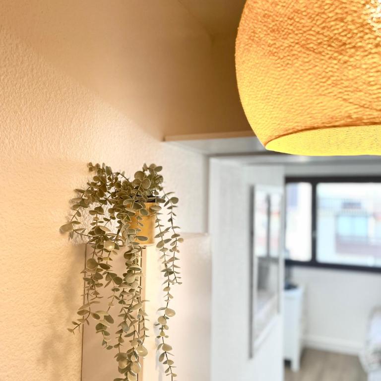 COSY & SURF : Confort et vue Mer à Seignosse Le Penon - One-Bedroom Apartment - 14