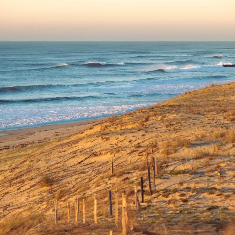 COSY & SURF : Confort et vue Mer à Seignosse Le Penon - One-Bedroom Apartment - 22