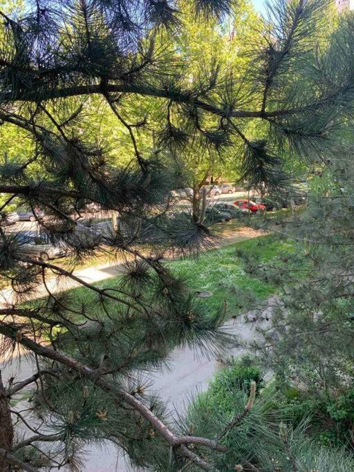 Sava Serenity: 2BR Near River - Apartman sa 2 Spavaće Sobe - 18