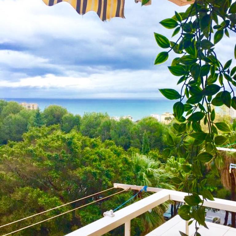Agata - Apartamento - 9