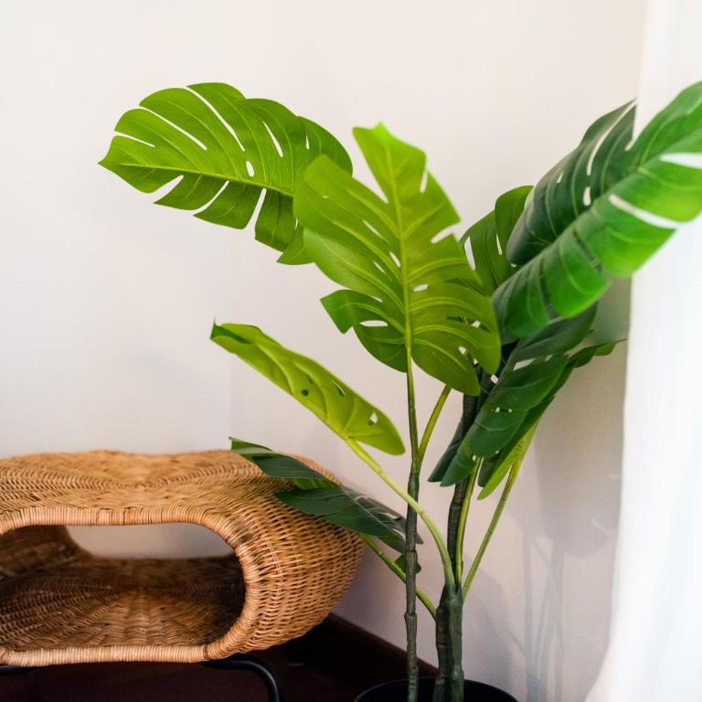 Apartamento con Encanto, Centro Granada - Two-Bedroom Apartment - 22