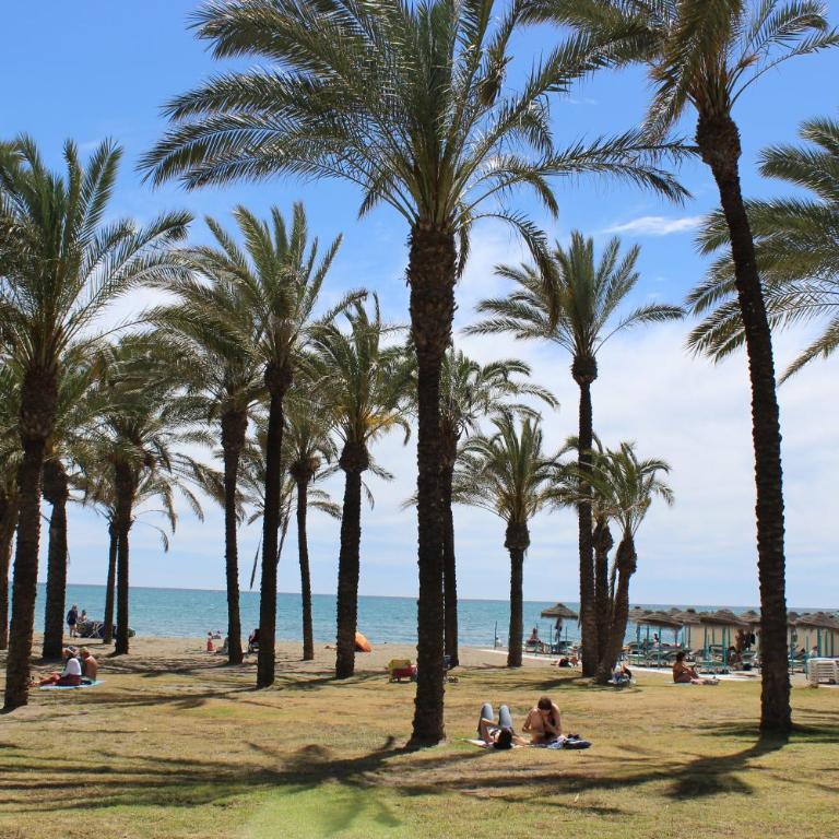 WintowinRentals La Carihuela OCEAN HOUSE Costa del Sol Torremolinos - Apartamento de 1 dormitorio - 44
