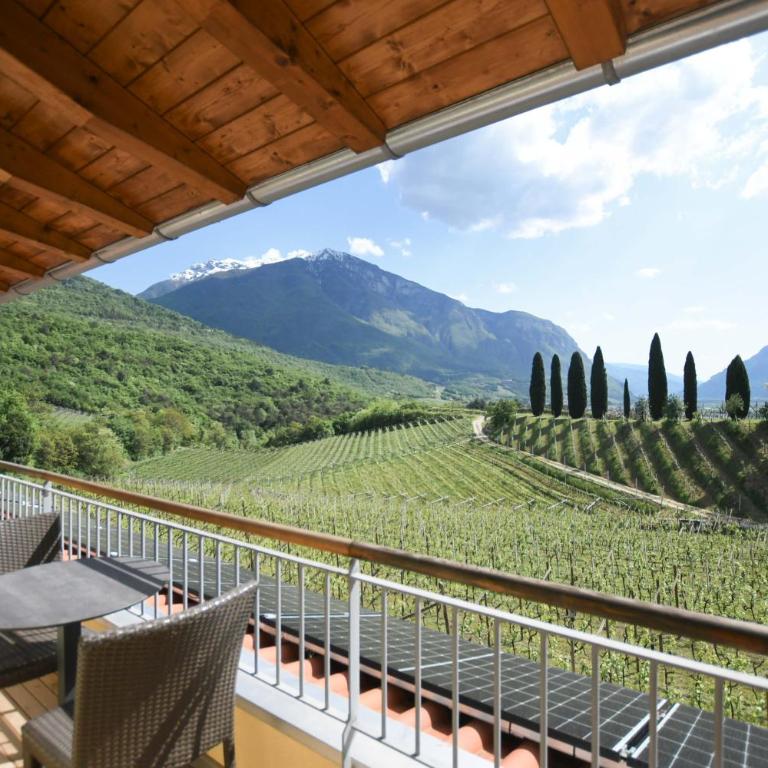 Agritur Casteller - Junior Suite con Balcone e Vista Vigneto - 1