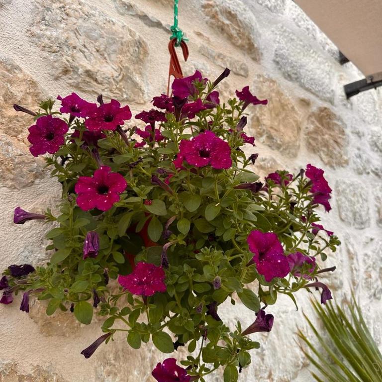 Vila Haritina - Three-Bedroom Vacation Home - 24