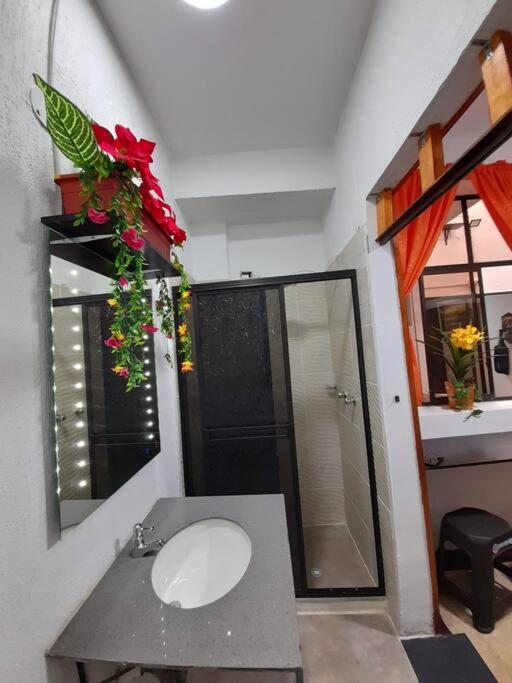 Alojamiento Guadalupe 104 - Apartamento de 1 dormitorio - 19
