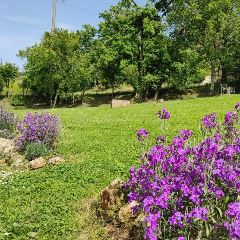 Agriturismo Le grondaie - Camera Deluxe Matrimoniale/Doppia con Letti Singoli - 7