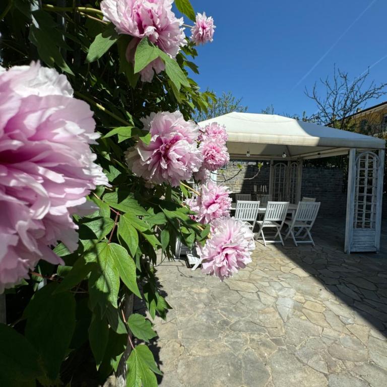 ElleCi Casa Vacanze - Apartamento de 1 dormitorio - 3