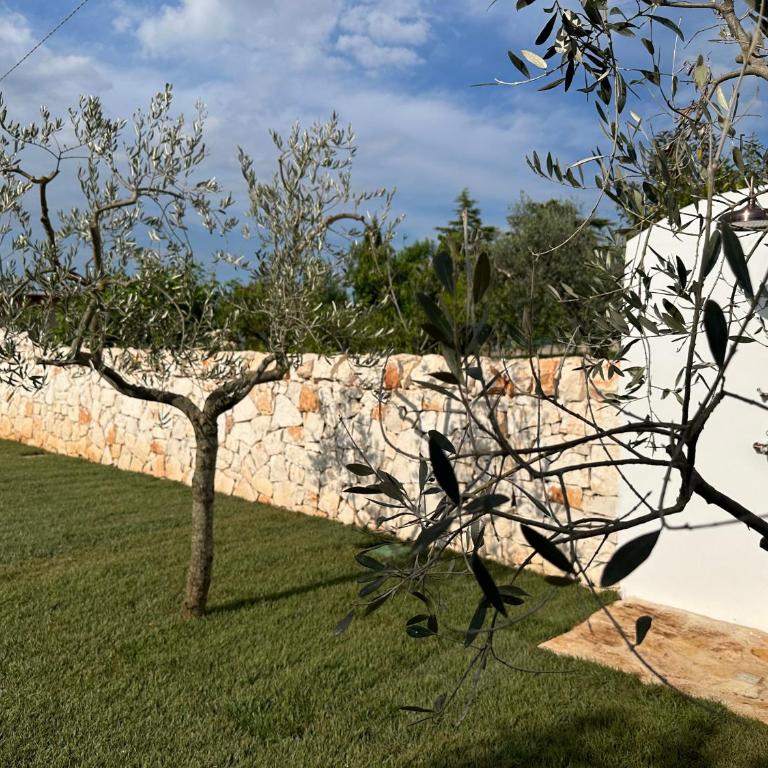 Trullo Gemma - Casa con 2 Camere da Letto - 10