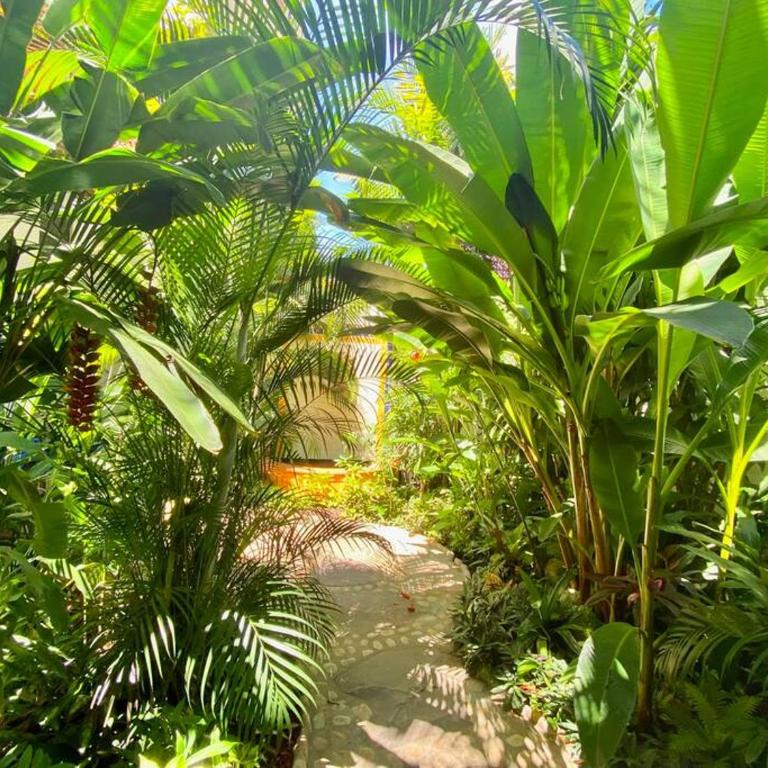Studio Romantique - Tropical Garden - Apartamento de 1 dormitorio - 11