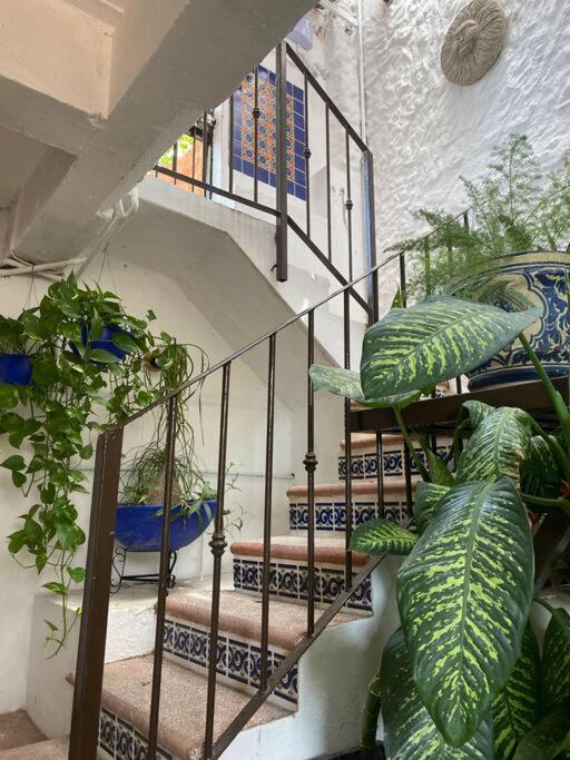 Studio Romantique - Tropical Garden - Apartamento de 1 dormitorio - 12