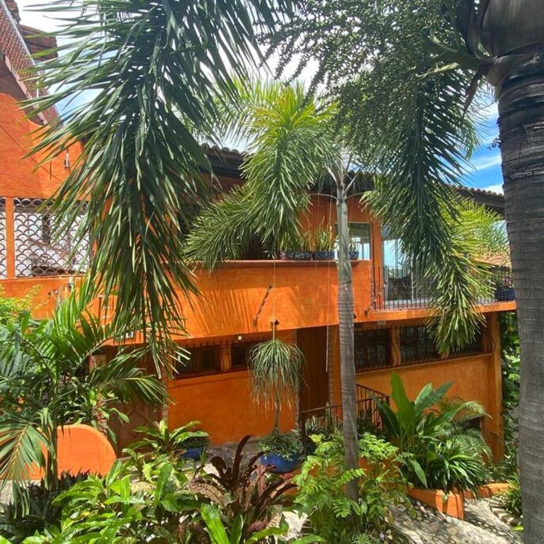 Studio Romantique - Tropical Garden - Apartamento de 1 dormitorio - 18