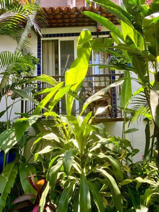 Studio Jardin Secret - Charming Garden - One-Bedroom Apartment - 10