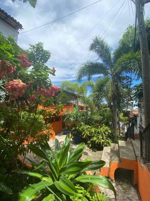 Studio Jardin Secret - Charming Garden - One-Bedroom Apartment - 13