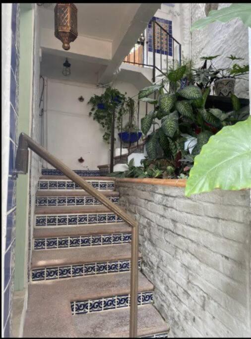 Studio Jardin Secret - Charming Garden - One-Bedroom Apartment - 20