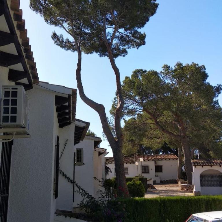 Casa Marina - Two-Bedroom House - 43