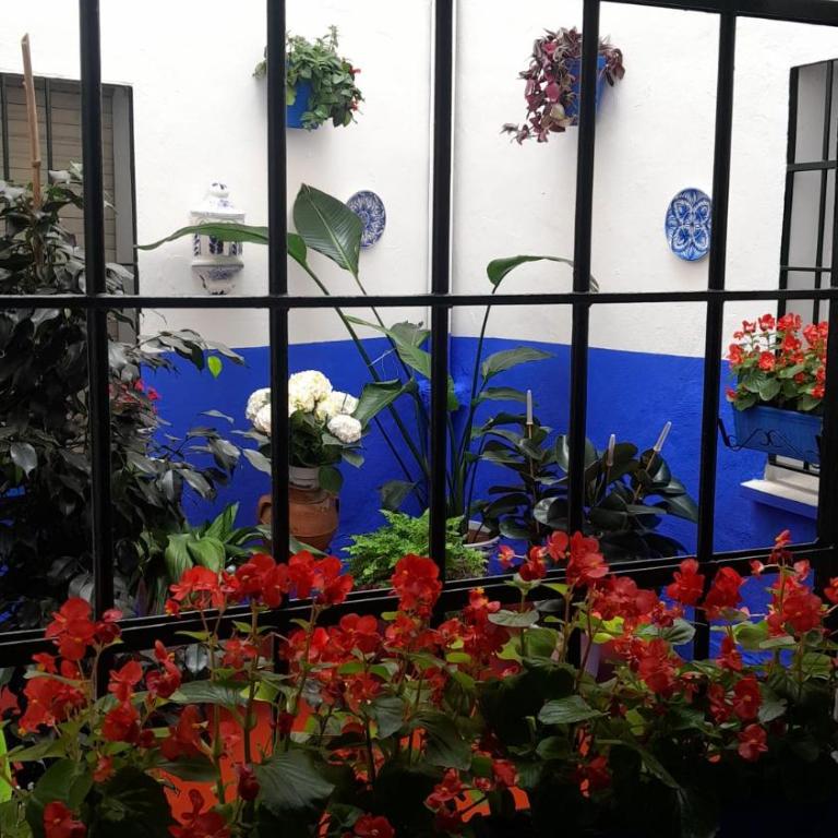 Puerta Sevilla PARKING GRATIS - Two-Bedroom Apartment - 7
