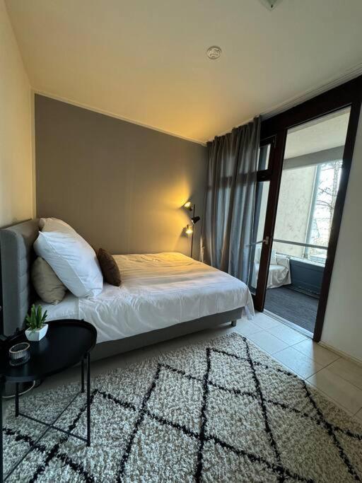 Schöne Wohnung in zentraler Lage - Apartment mit 1 Schlafzimmer - 9