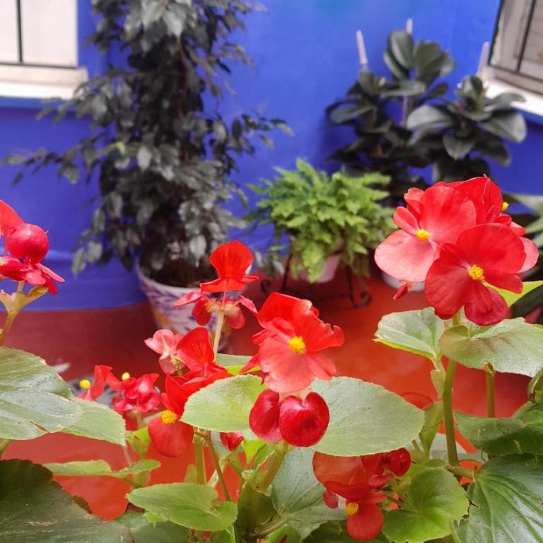 Puerta Sevilla PARKING GRATIS - Two-Bedroom Apartment - 21