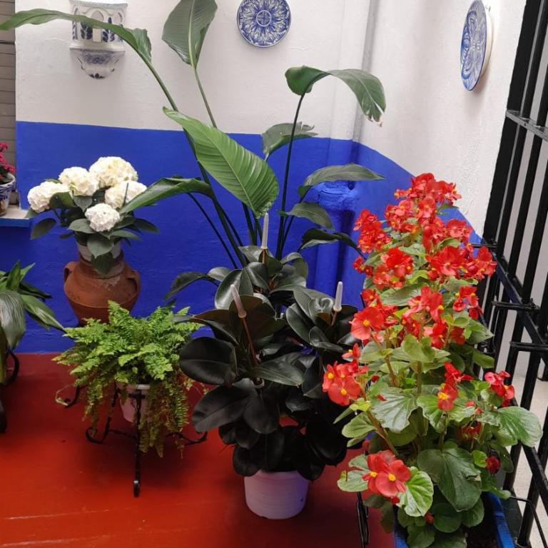 Puerta Sevilla PARKING GRATIS - Two-Bedroom Apartment - 47