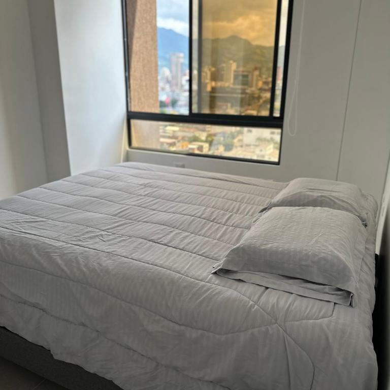 Apartamento 1502 ITTOS - Apartamento de 3 dormitorios - 4