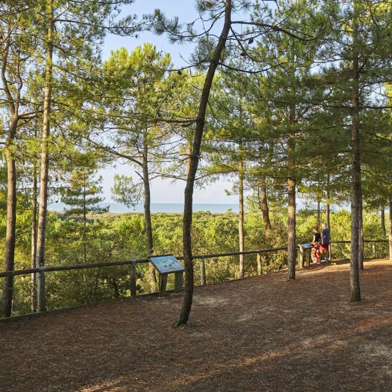 Maison 3 Chambres avec Jardin et Wi-Fi à 10 min de la Plage, Quartier Calme, Animaux Acceptés - FR-1-323-370 - Casa Vacanze - 10