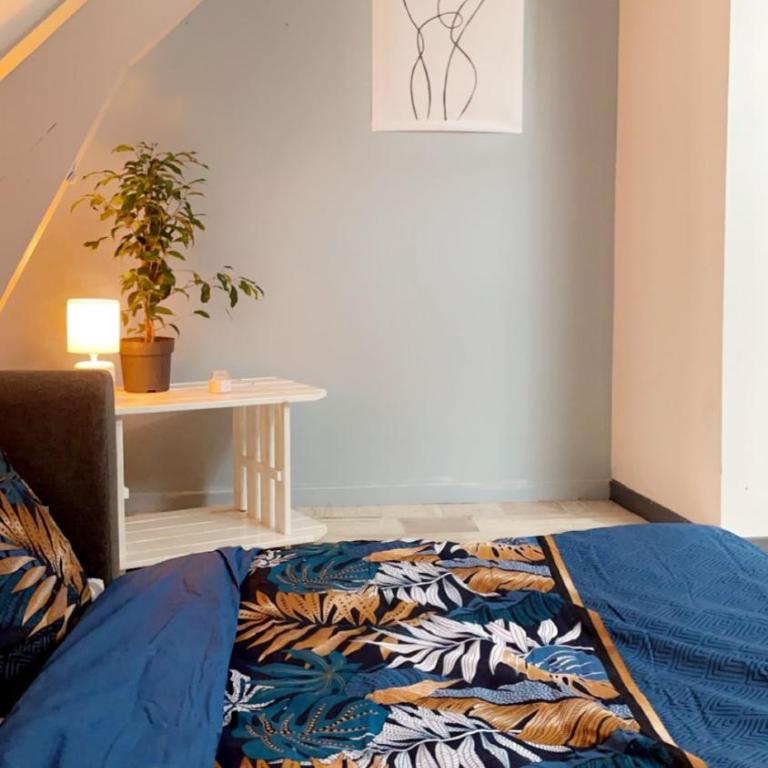 CENTRAL 55m2 - 4 PERSONNES - COSY - PROCHE NAUSICAA - One-Bedroom Apartment - 24