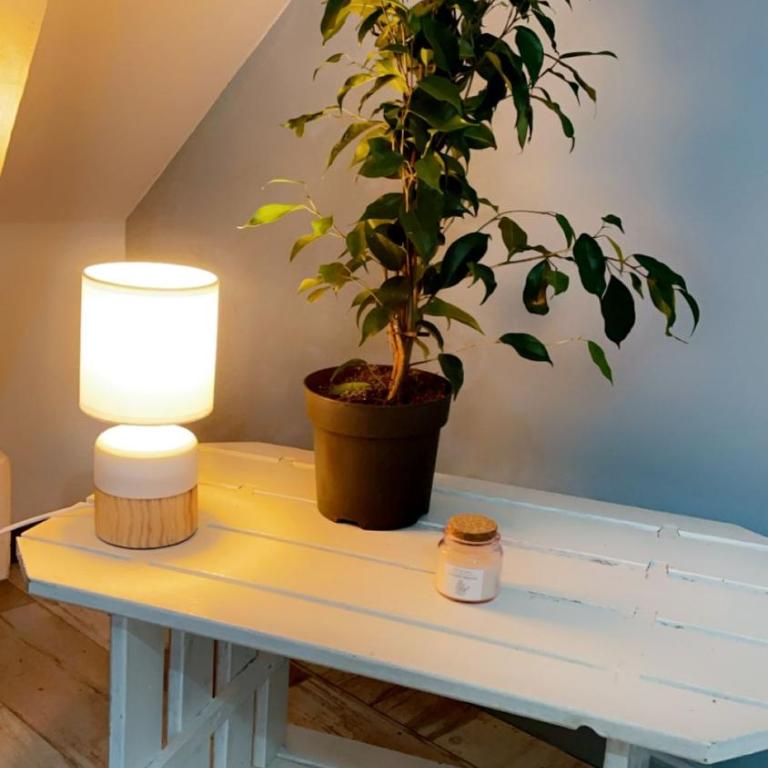 CENTRAL 55m2 - 4 PERSONNES - COSY - PROCHE NAUSICAA - One-Bedroom Apartment - 25