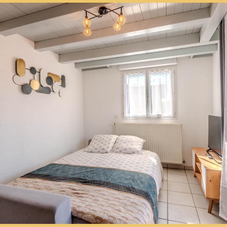 Le Faucigny - Appartement 1 Chambre - 14
