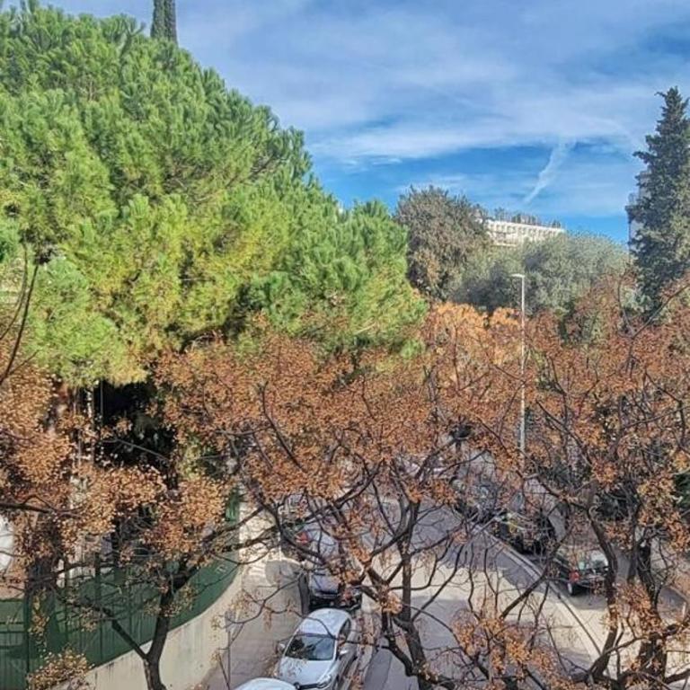 Beautiful 3 room apartment - Parking -Centre -Tram - Apartamento - 14