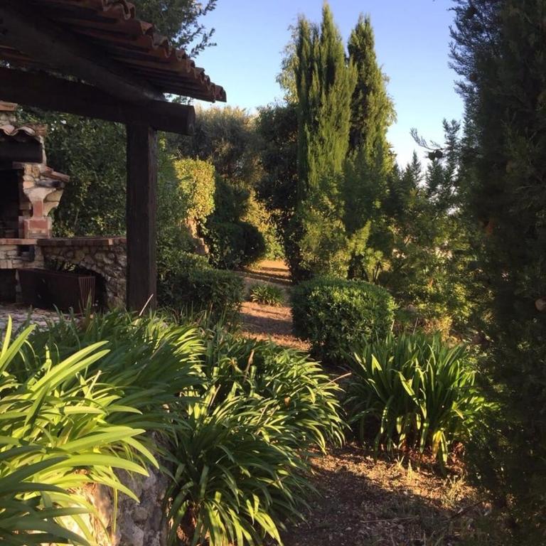 Authentic & Atypical house - Vence - Maison de Vacances - 24