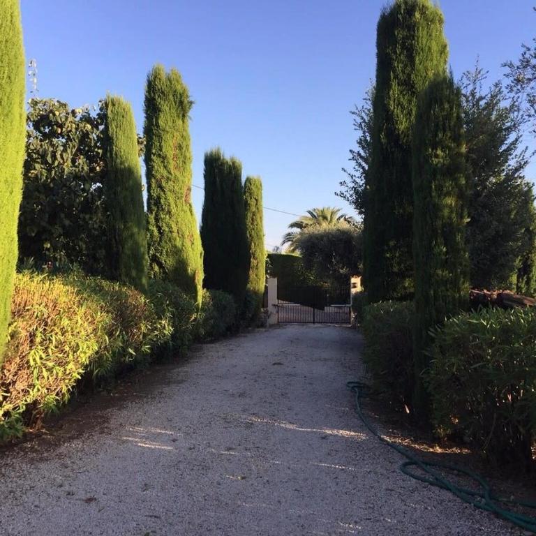 Authentic & Atypical house - Vence - Maison de Vacances - 19